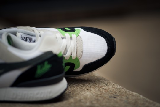 Kangaroos X Sneakers Absinthe7